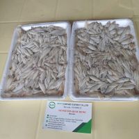 FROZEN KESKI FISH