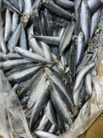 Frozen Mackerel Scad