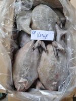 Frozen Black Bird Fish