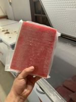 FROZEN TUNA FISH