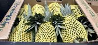 Fresh Pineapple