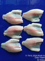 Tilapia Fillet