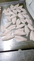 Sea Bass Fillet