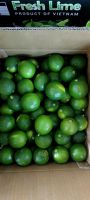 Seedless Lemon
