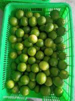 Fresh Lime Lemon