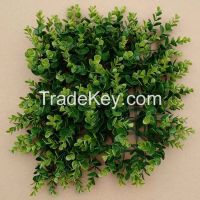 Garden Decoration Artificial Buxcus Boxwood for Sale
