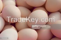 duck eggs