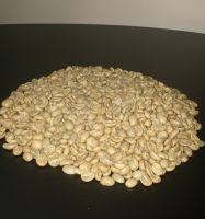 Coffee in green bean from Ecuador