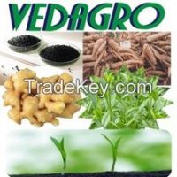 Compound Organic Fertilizer, Fertilizer NPK 8-2-4