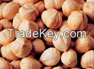 Hazel Nuts