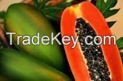 Papaya California