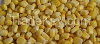 Yellow Corn and Sweet Corn Kernels (New Cultivation Organic IQF Frozen and Fresh) for sale