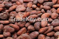 cocoa beans