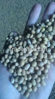 Soybean (Non GMO)