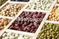High Quality Pinto Dried Red Kidney Beans With Low Price