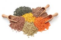 Canadian Lentils, Peas and Pulses