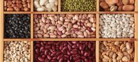 Dried Beans