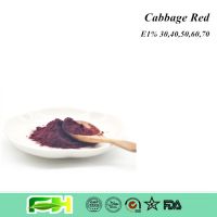 100% Natural Cabbage Extract Edible Colorant Cabbage Red