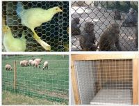 High Security Fence, Hexagonal Wire Mesh, Used Fencing For Sale