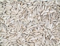 sunflower seeds from turkey