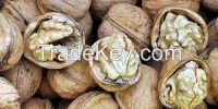 walnuts from turkey 