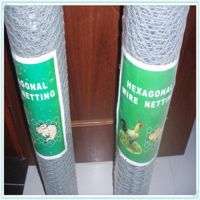 lowest price chicken wire /chicken mesh/hexagonal wire mesh (factory manufacture)
