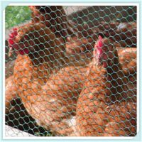 free sample chicken wire/ galvanized hexagonal wire mesh