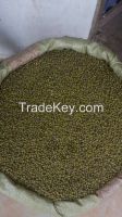 Sesame Seeds and Green Mung Beans