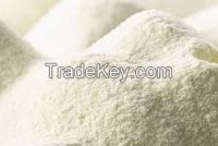 Milk Powder