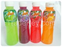 Fruit Juice  450ml PET bottle
