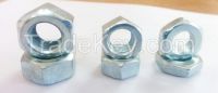 Hex Nuts