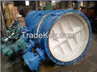 Double eccentric flanged electric operated