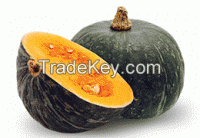 Fresh vegetables & fruits from Brazil direct from the farmers. Japanese pumpkin (Kabocha)