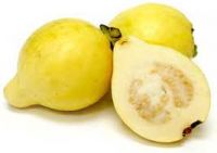 Fresh Guava