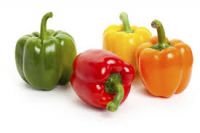 Fresh Capsicum Colored Bell Pepper