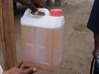 99% purity Sassafras oil (Safrole oil)