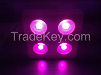 2015 New Design Factory Price 336W COB LED Grow Lights China With COB LED Chips Indoor Grow Room 2 Warranty years Fast Shipping