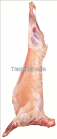 https://ar.tradekey.com/product_view/Australian-Lamb-Carcass-8340375.html