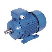 MS series three phase electric motor