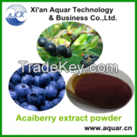 Hot Selling High Quality Brazilian Acai Berry Extract / Brazil Acai Berry Extract