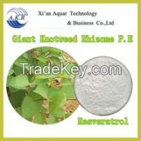 Resveratrol Extract / Polygonum Cuspidatum Root Extract Resveratrol / Resveratrol Bulk Powder