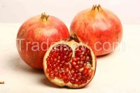 tunisian pomegranate