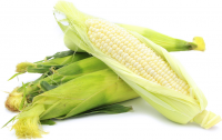 White corn 