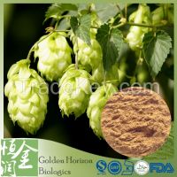 GMP Organic Hops Humulus Lupulus Extract 