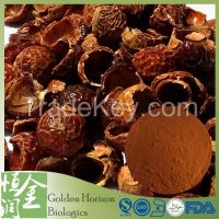 Natural Healthcare Product Soapnut Saponin Extract 80%