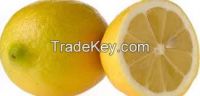 Fresh Citrus Fruits