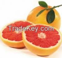 Fresh Grapefruits