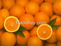 Fresh Oranges