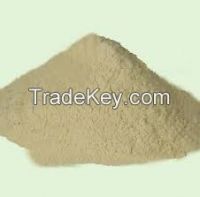 Hoodia Gordonii Powdered Extract