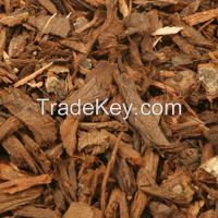 Pygeum Africanum Bark Extract, Pygeum (herbal remedy)
